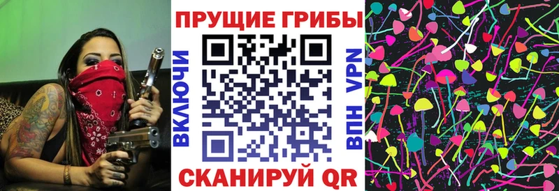 наркотики  Починок  Псилоцибиновые грибы мухоморы 
